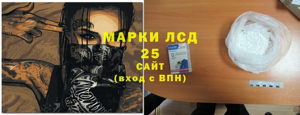 крисы Аркадак