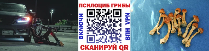 как найти наркотики  Рудня  Галлюциногенные грибы прущие грибы 